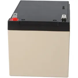 EnerSys Genesis Np12-12wt 12v 12ah Faston 6,3mm Agm Blei Akku