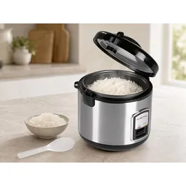 DS PRODUKTE Reiskocher silber 1,0 l