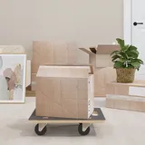 vidaXL Transportroller 2 Stk. Rechteckig 50x35x11,5 cm 250 kg