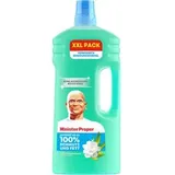 Meister-Proper Allzweckreiniger Frühlingserwachen 2 l