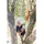 Stocker Teleskop-Astschere E-35 Tr 210-320 cm ohne Akku