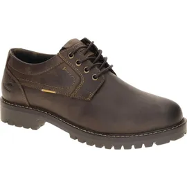 CAMEL ACTIVE Braun | 45