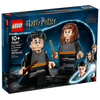 Harry Potter Harry Potter & Hermine Granger 76393