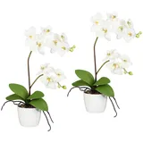 Kunstpflanze Orchidee Phalaenopsis Orchidee, Creativ green, Höhe 60 cm, im Keramiktopf beige|weiß