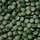 Flügelschwinger Chlorella Presslinge 500 g
