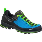 Salewa Herren MTN Trainer 2 GTX Schuhe (Größe 44.5, blau)