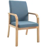 GIZNXBA Esszimmerstühl Grau, Esszimmerstühle Mit Armlehne Küchenstuhl Holz Polsterstuhl Esszimmer Freizeit Modernes Wohn-Esszimmer Küchenstuhl Aus Stoff Mit Holzbeinen (Color : /Blue)