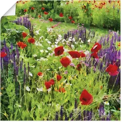 Artland Wandbild »Lupinen und Mohnblumen«, Blumenwiese, (1 St.), als Poster, Wandaufkleber in verschied. Größen Artland Farbe Bild(er): bunt