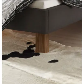 Hasena Polsterbett Noemi Farbe: Nussbaum, geölt, Bezugsfarbe: Buffalo shale, verschiedene Größen