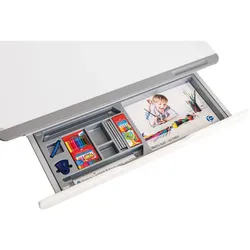 Schubkasten PAIDI TEENIO - BHT 88.80x4.80x32.90 cm