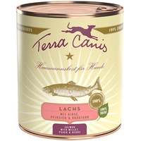 Terra Canis 6 x 800g Lachs mit Hirse, Pfirsich und Kräutern Terra Canis