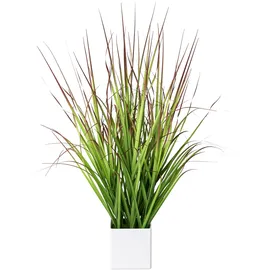 Creativ green Kunstgras CREATIV GREEN "Blutgras", grün (grün, rot), B:15cm H:61cm, Kunststoff, Kunstpflanzen, im weißen Kunststofftopf