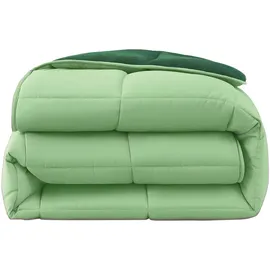 Wometo Plüsch Steppbett Ganzjahresdecke Wende-Design ca. 155x220 – grün & dunkelgrün – warme Winterbettdecke kuschelig & weich I ohne Bezug verwendbar I Oeko-Tex®,