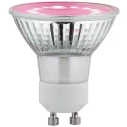 Paulmann Grow Green Edition Filament 230V LED Reflektor GU10 95lm 3,5W 1100K Wachstumslicht