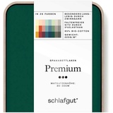 SCHLAFGUT Premium Baumwolle 180 x 200 - 200 x 220 cm green deep