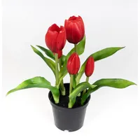 Seidenblumen Roß Tulpen Real Touch 24cm im Topf ZF