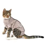 Kruuse Buster Body Suit Stepn Go für Katzen XS