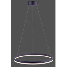 Paul Neuhaus TITUS 1-flg. 38,5W Ø 60 cm rund/grau