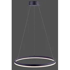 Paul Neuhaus TITUS 1-flg. 38,5W Ø 60 cm rund/grau