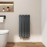 EMKE Flachheizkörper 600 x 300 mm 233 W anthrazit Mittelventil