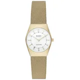 Skagen Grenen Lille Solar Powered Edelstahl 26 mm SKW3077