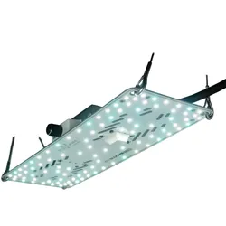 BloomStar FLUXshield Habibi 140 - 50W Wachstum