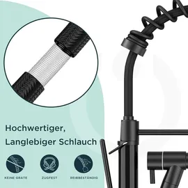 luxuskollektion FORIOUS LED Wasserhahn Küche mit Doppelspray 360° Schwenkbarkeit