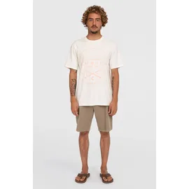 O'Neill Essentials Chino Shorts pure cashmere (17028) 32