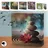 Cepewa Soundbox 4er Set Bewegungssensor | Bunt