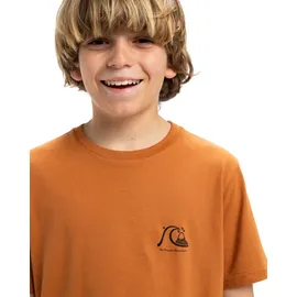QUIKSILVER Shirttop QUIKSILVER "Evo Original", Jungen, Gr. 16, bran, [Hauptstoff] 100% Baumwolle, Tops Shirttop
