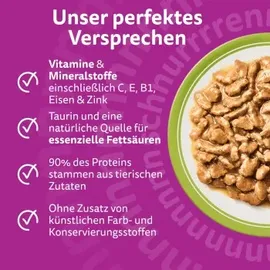 Whiskas Gemischte Auswahl in Sauce 12 x 85 g