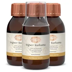 Ingwer Kurkuma Konzentrat