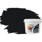 RyFo Colors Silikonharz Fassadenfarbe Lotuseffekt Trend Schwarz 3l - bunte Fassadenfarbe, weitere Grau Farbtöne und Größen erhältlich, Deckkraft Klasse 1