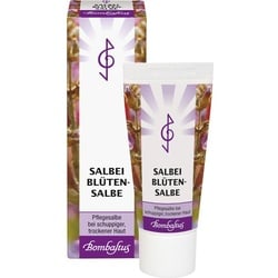 Salbeiblüten-Salbe 20 ML