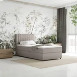 panda möbel Boxspringbett Everest, mit Topper - beige