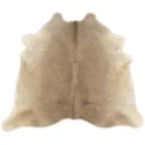 generisch KUHFELL STIERFELL GRAU BEIGE Natur 180 x 190 cm Rinder Fell Teppich Champagner