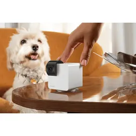 Petcube Cam 360 Kamera Weiß