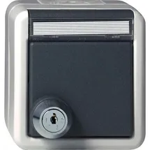 Gira Steckdose 16 A 250 V grau 1 St.