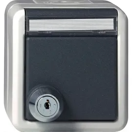Gira Steckdose 16 A 250 V grau 1 St.