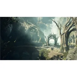 Dragon's Dogma 2 Xbox Series X