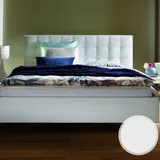 Hasena Dream-Line Polsterbett Apro/Zoja/Vilo 200x200 cm / Casual blanc 372