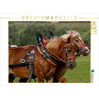 Calvendo Kaltblutgespann Puzzle