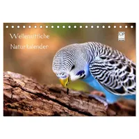 Calvendo Wellensittiche - Naturkalender (Tischkalender 2026 DIN A5 quer),