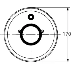 Rosette 46057