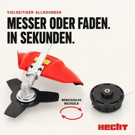 Hecht 142 BTS