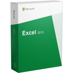 Microsoft Excel 2013