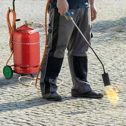 Relaxdays Gas Transportwagen, Transportkarre für 5 & 11 kg Gasflaschen, Propan, Vollgummireifen, Stahl, schwarz/grün