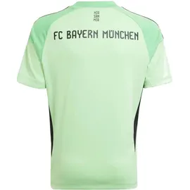 adidas FC Bayern München Torwarttrikot 2025/26 Kinder grün Gr. 176
