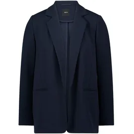 Zero Blazer Hydrangea 44