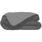 Poyet-Motte Leichte Decke Silber 220x240 cm,